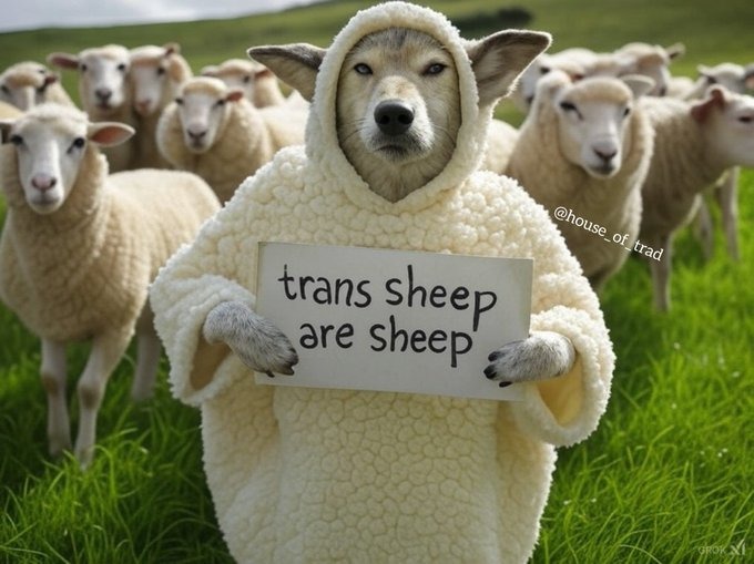 Wolves in sheeps clothing - meme
