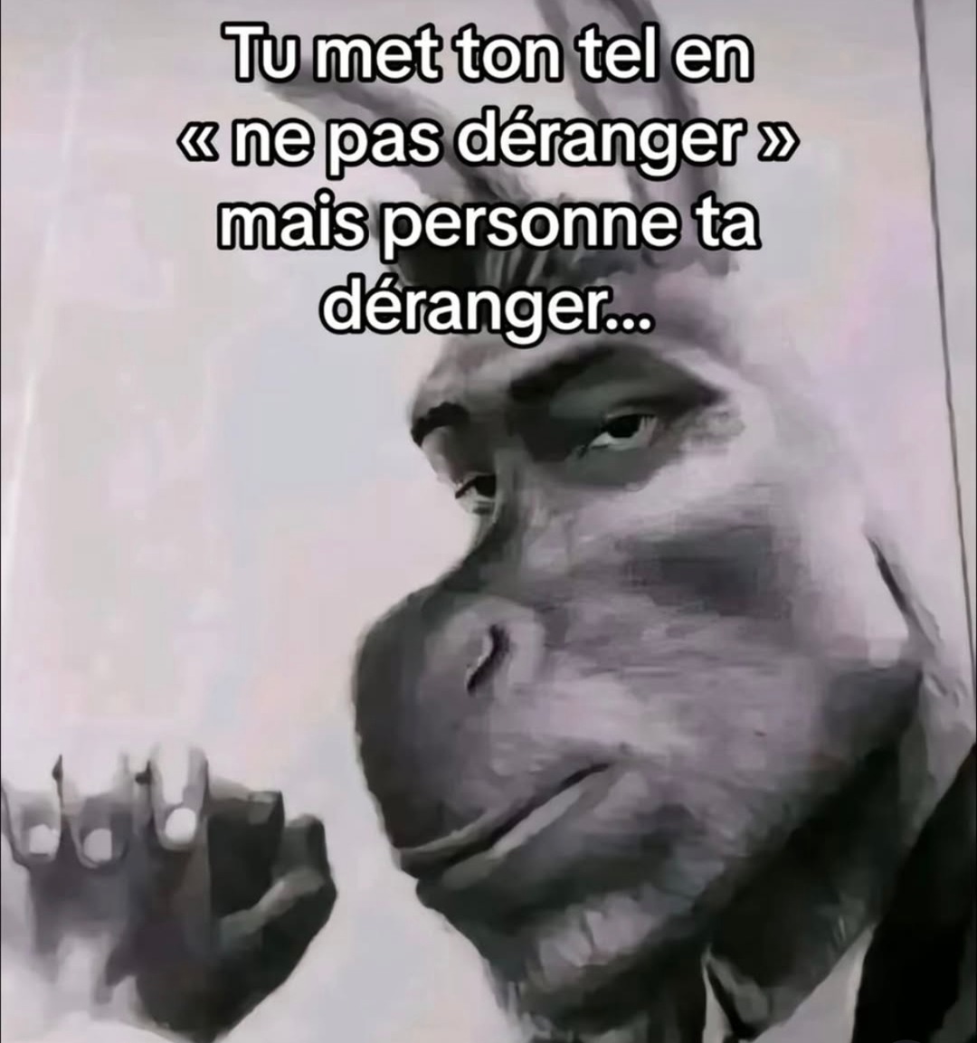 Tu mets 'ne pas déranger' mais personne veut te déranger de toute façon - meme