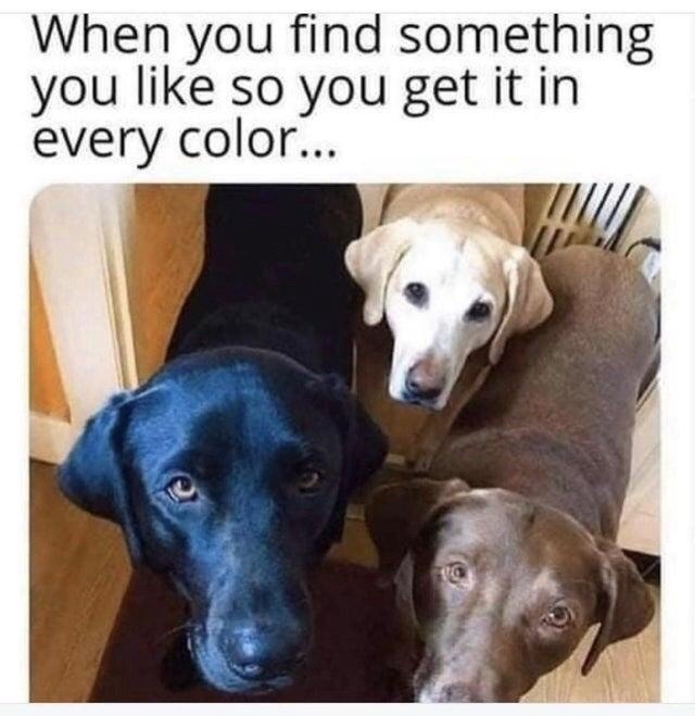 when you like it so much you buy it in every color - meme