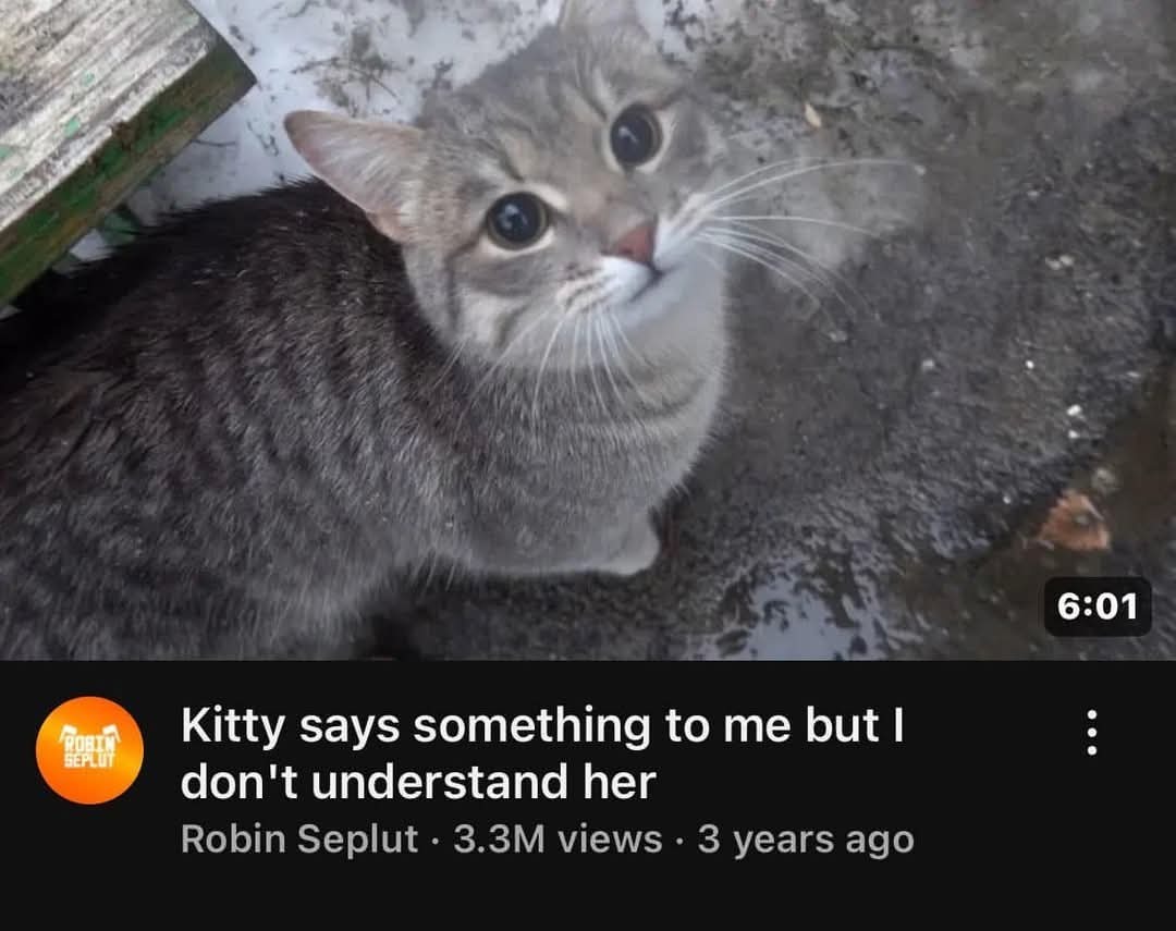 Now I'm sad - meme