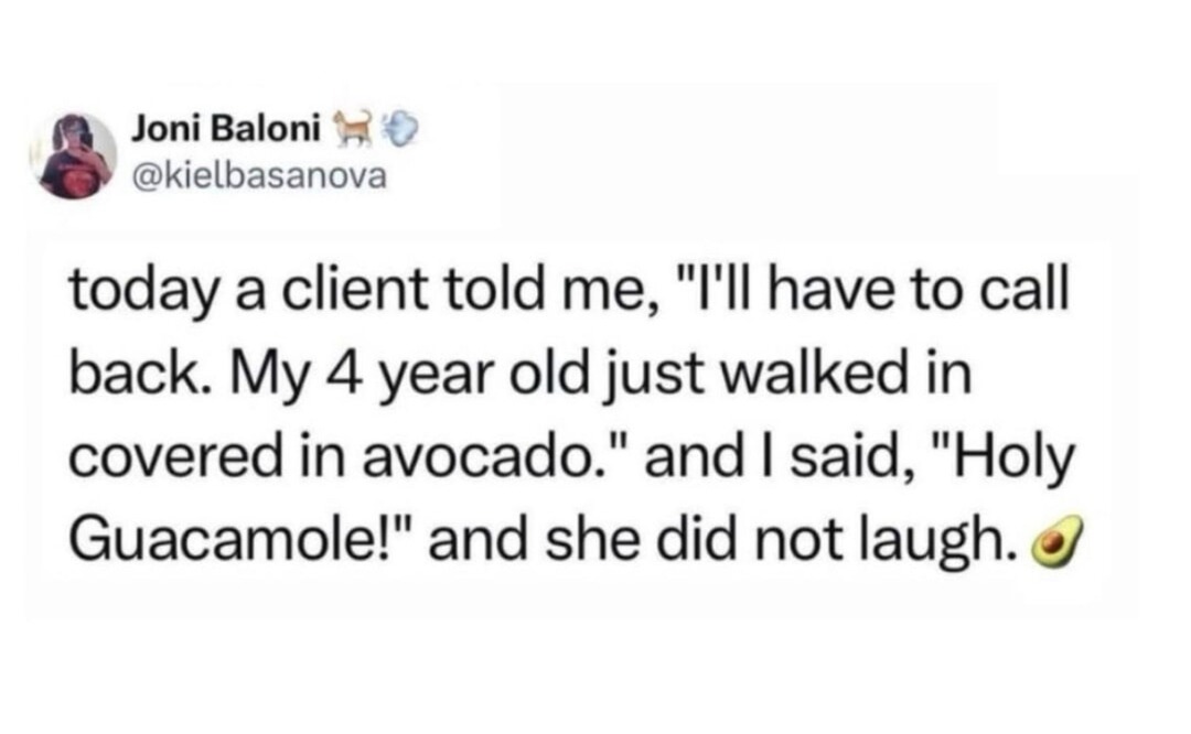 Holy Guacamole failed to land, RIP - meme