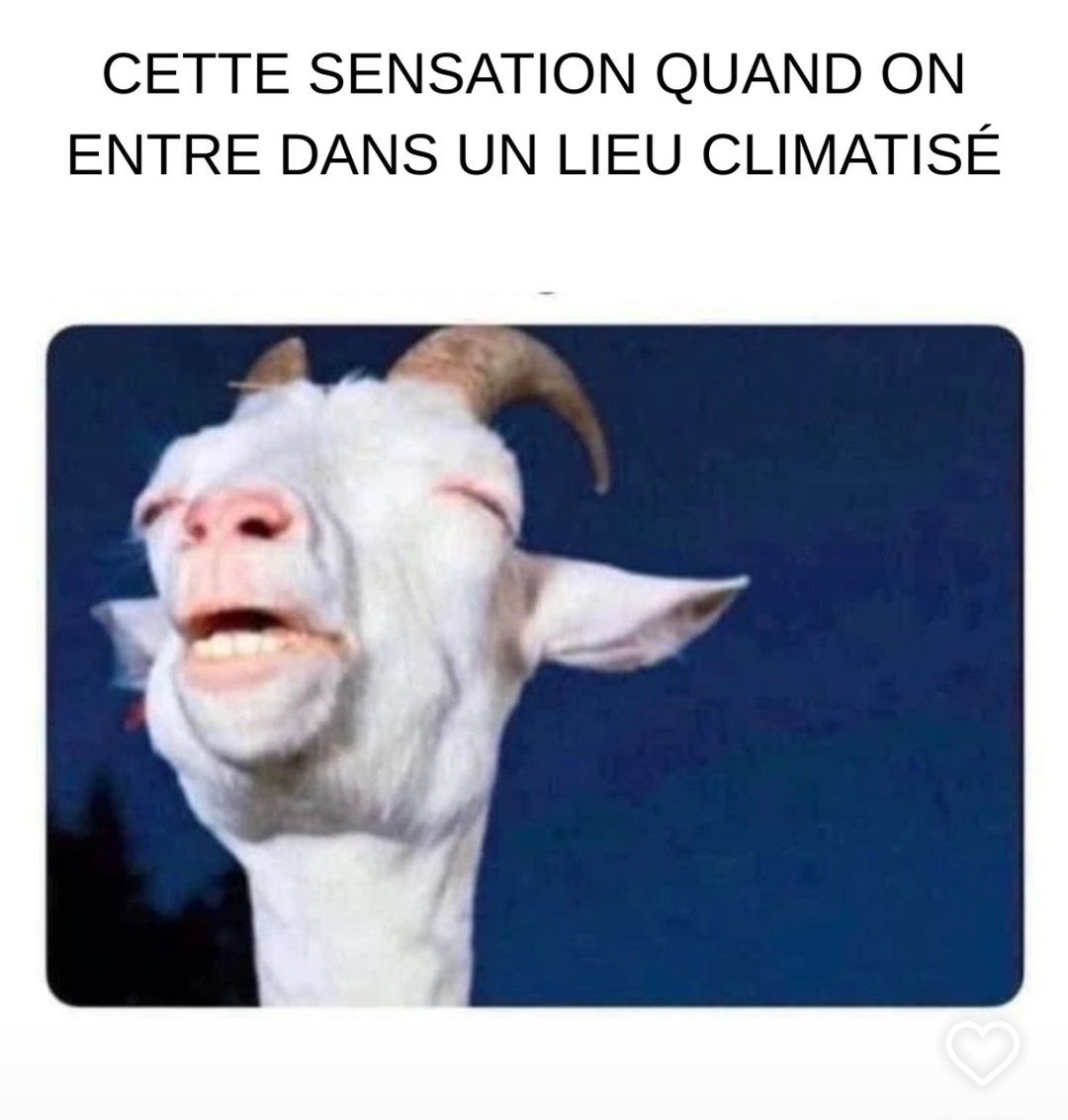 cette vibe incroyable quand tu rentres dans un lieu climatisé - meme