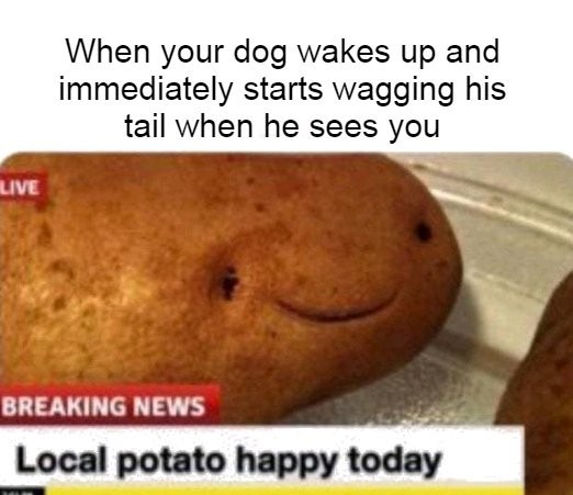 Happy potato! - meme