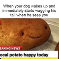 Happy potato!