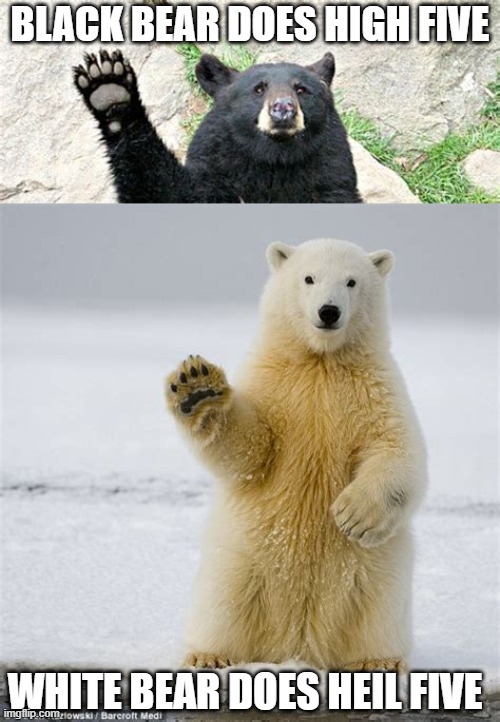 BLACK BEAR DOES HIGH FIVE WHITE BEAR DOES HEIL FIVE - meme