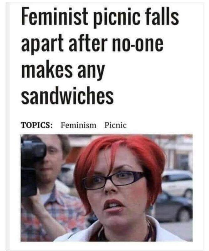No sandwiches, no picnic - meme