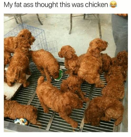 Chicken nuggets hush puppies - meme
