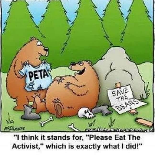 They feed the bears, we get rid of them, I see nothing but wins! - meme