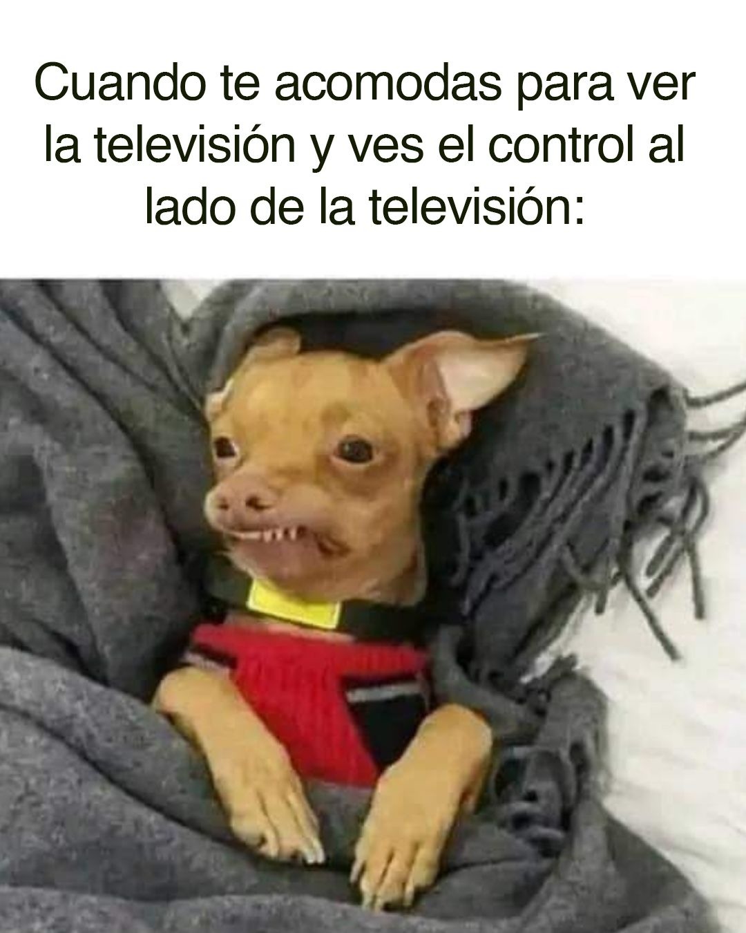 Q manera de fastidiar - meme
