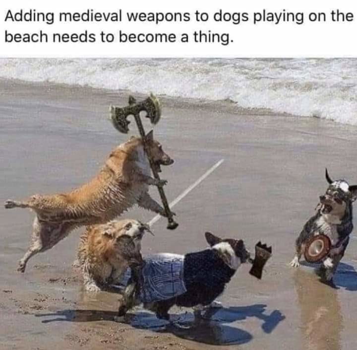 Doge War - meme