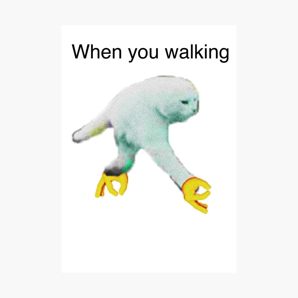 when you walking - meme