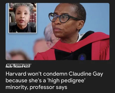 Claudine Gay news - meme