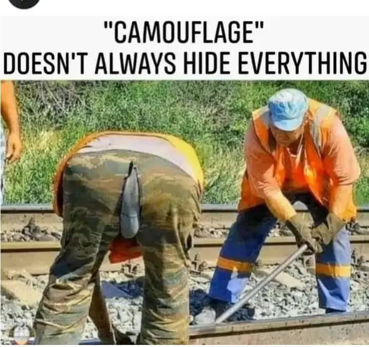 Camouflage - meme