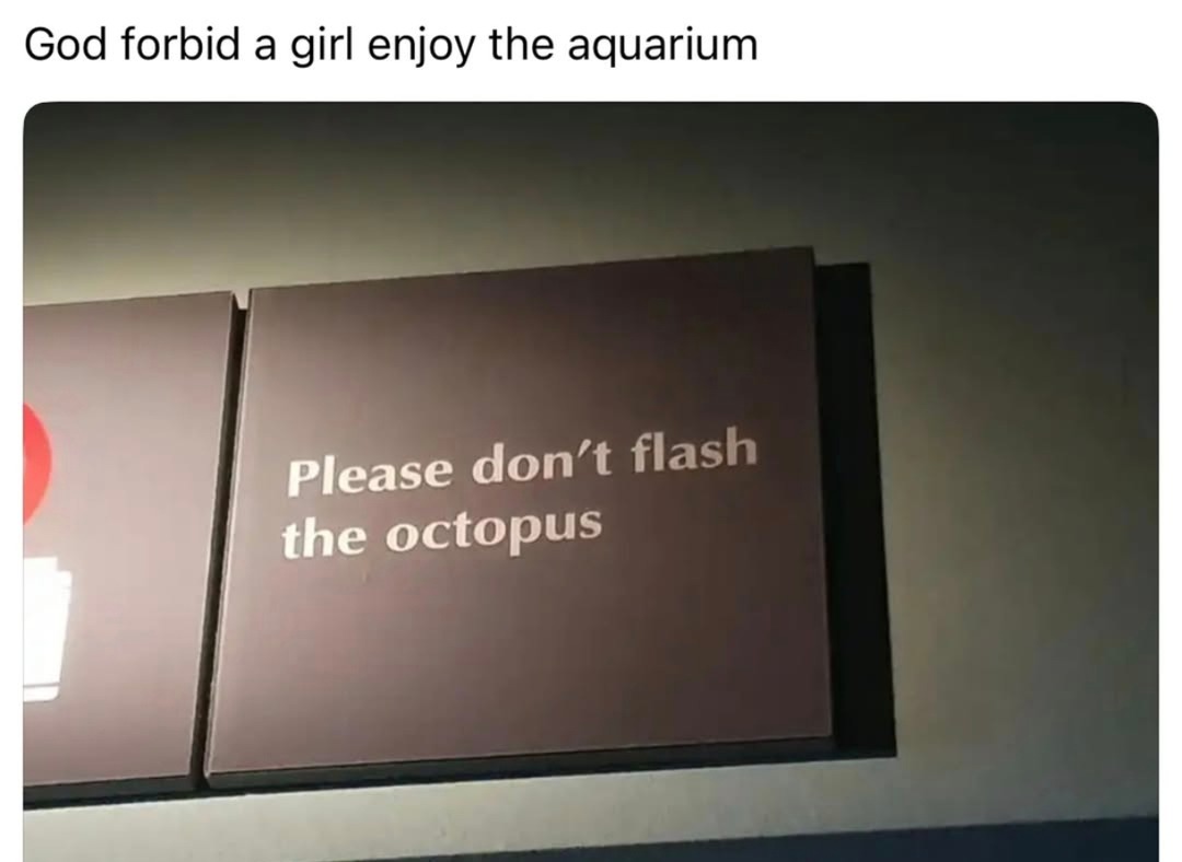 Let the girl enjoy the aquarium bro - meme