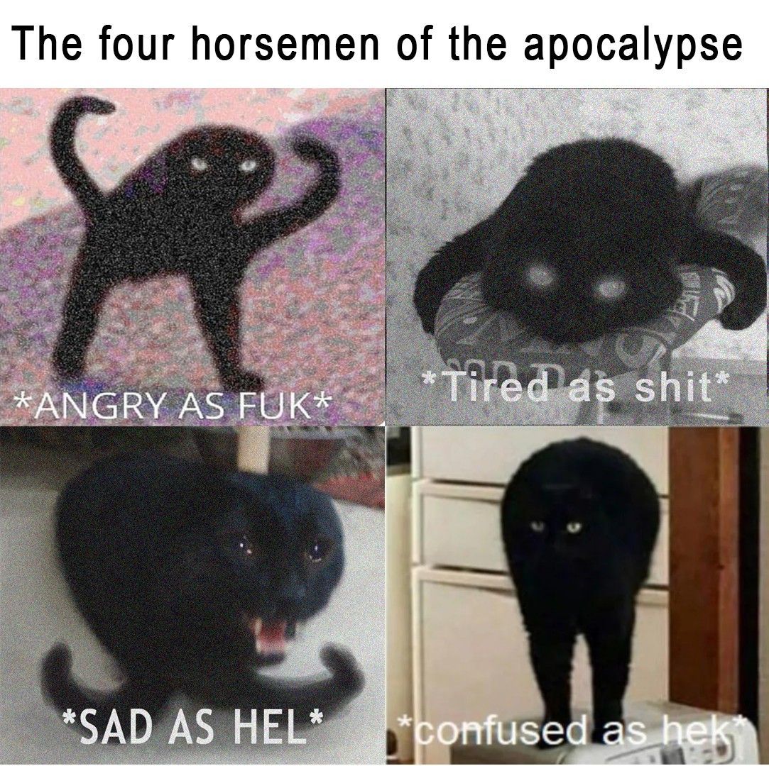 The four emotions of the cat - meme