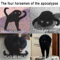 The four emotions of the cat