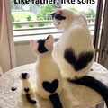Like father, like sons