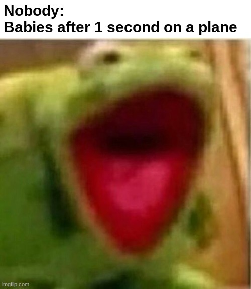 babies on a plane - meme