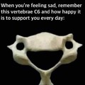 Funny wholesome meme