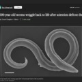 46,000 yo worms wriggle back to life after defrost