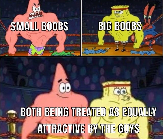 Boobs are boobs, no matter what size - meme