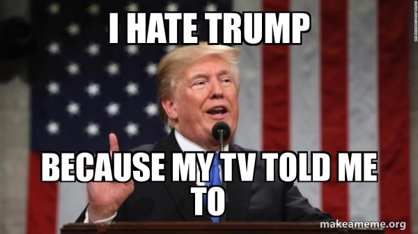 TV dopes who vote - meme