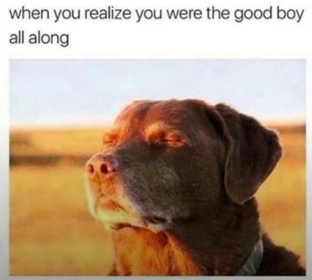 When you realize you were the good boy all along - meme