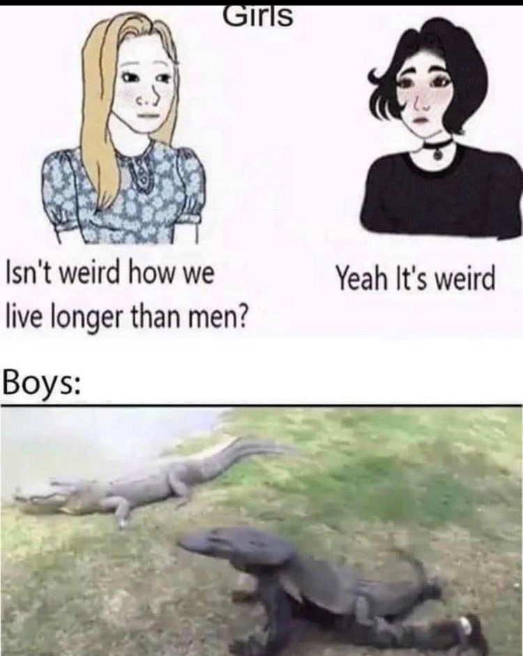 trying to get a gator friend - meme