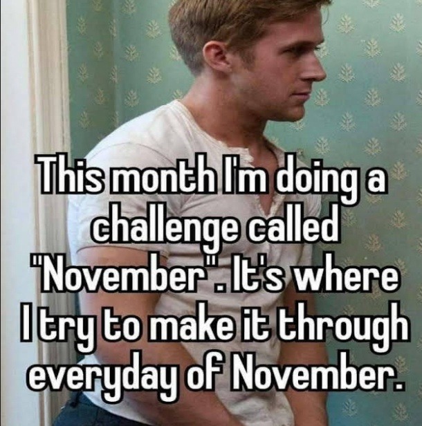 November - Meme by BestBeforeDate :) Memedroid
