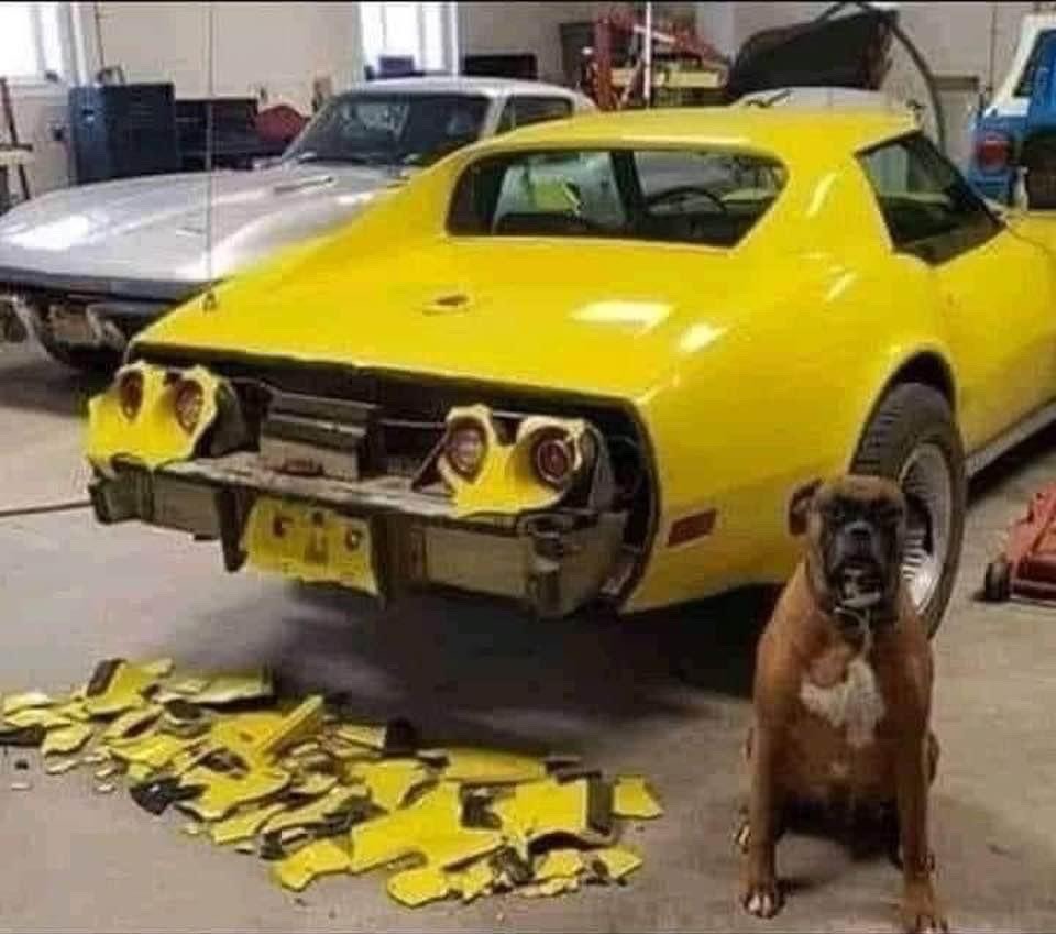 dude don’t like yellow cars lmao - meme
