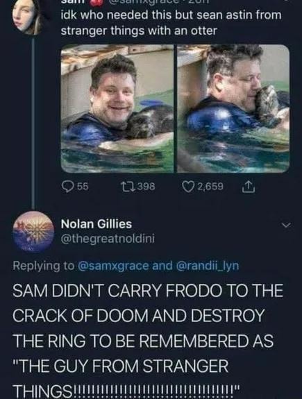 He didn’t carry Frodo through Mordor to be called 'Stranger Things guy' - meme