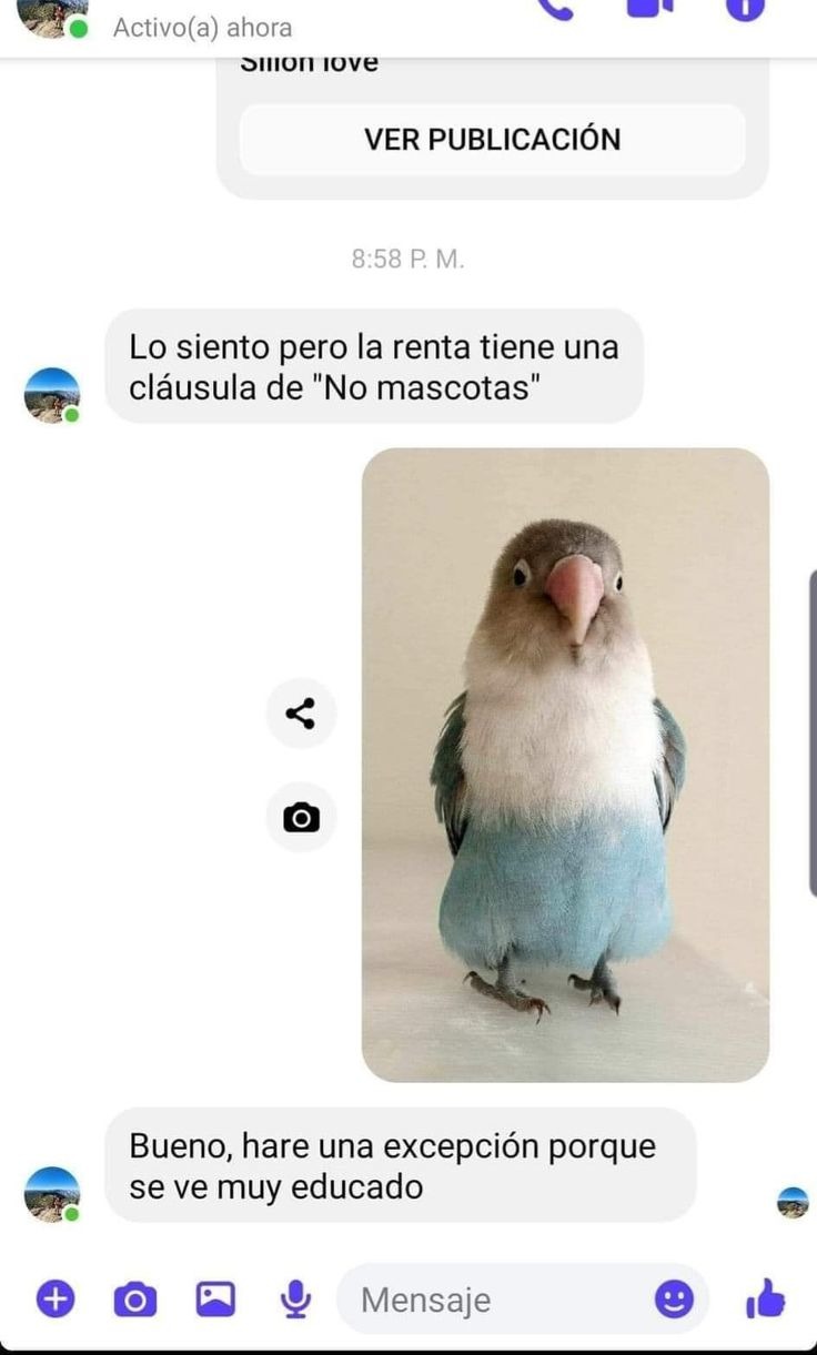 Esta bien - meme