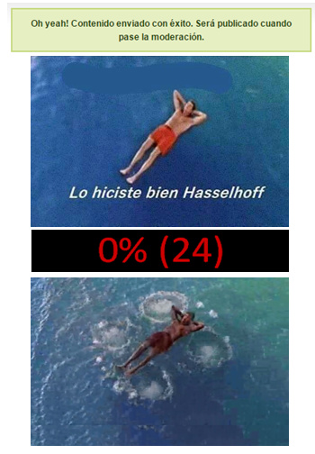 Damn Hasselhoff - meme