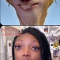 Ice age: in the hood
