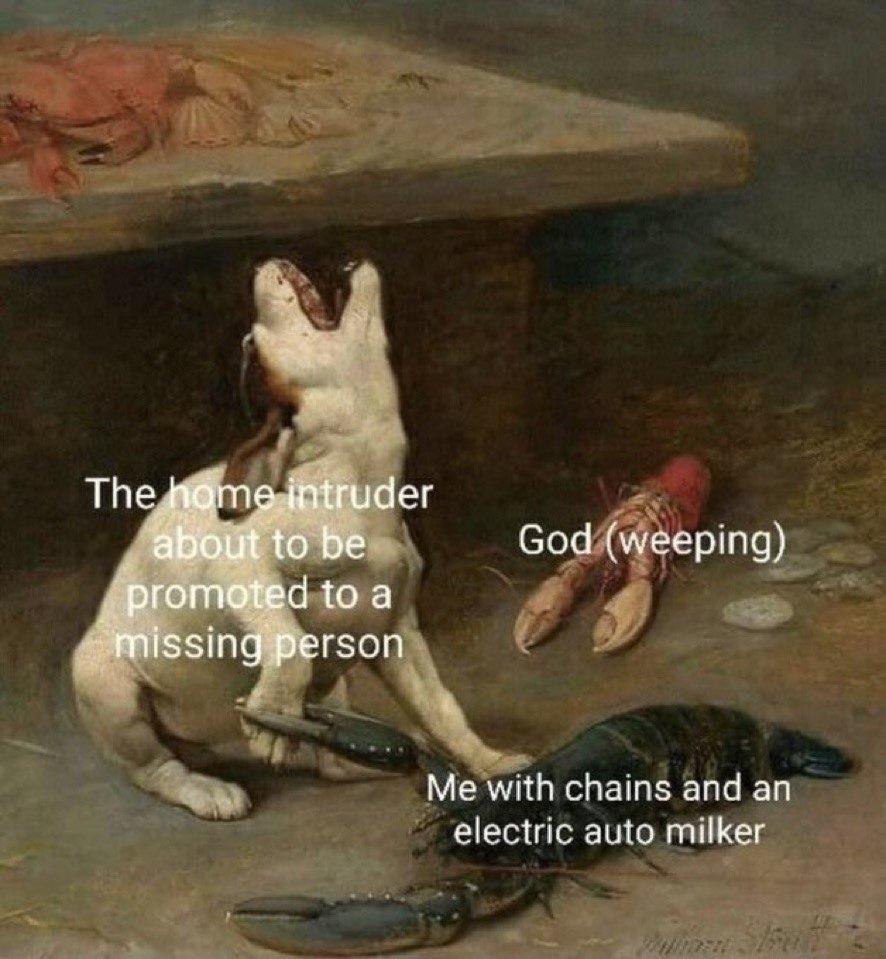 Electric cock milker - meme