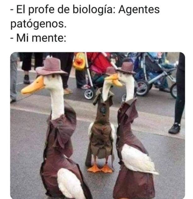 Agente patógenos - meme
