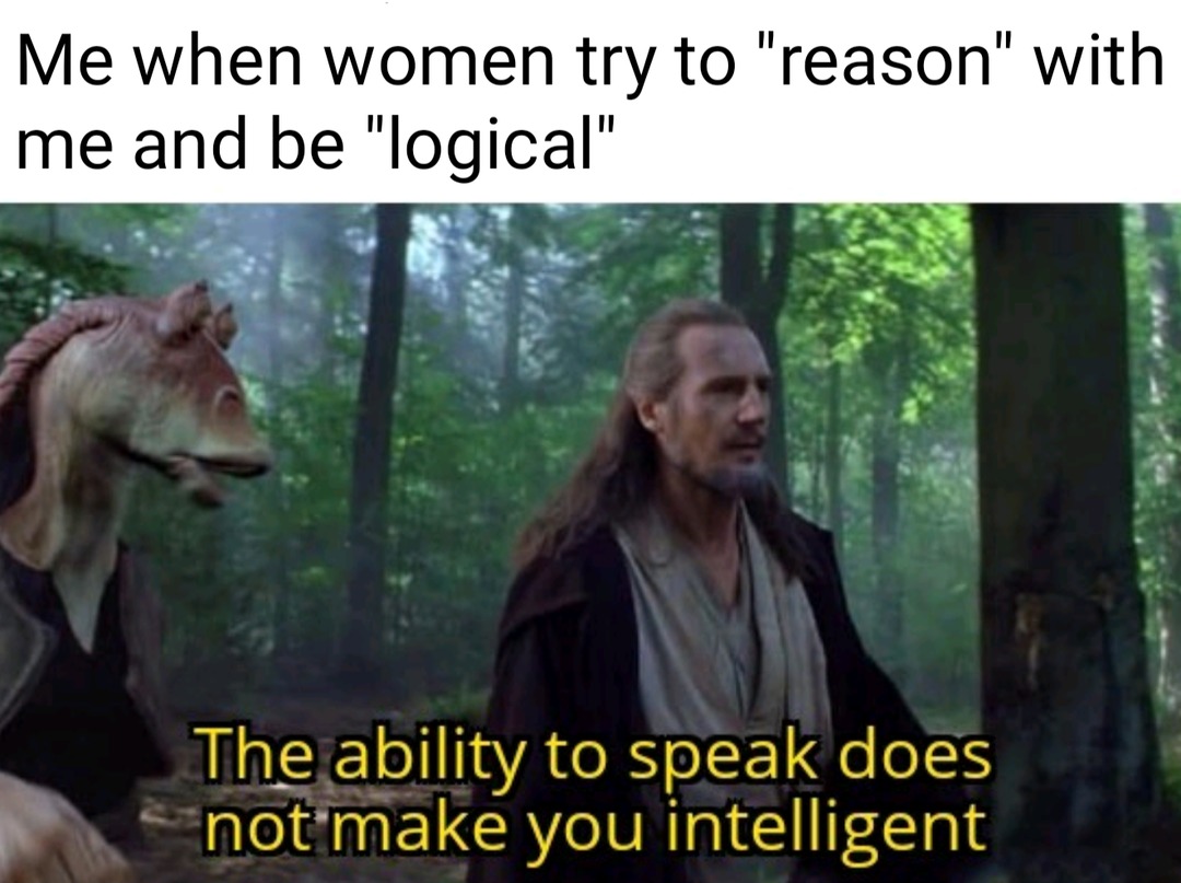 Feelings can be a semi-valid argument but only if used to provide backing a logical argument - meme