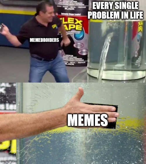 Memes hold our lives together