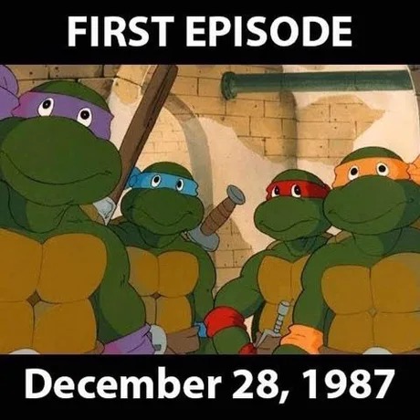 Ninja Turtles first episode - meme