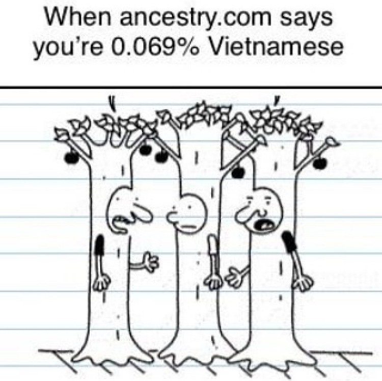 vietnam war meme