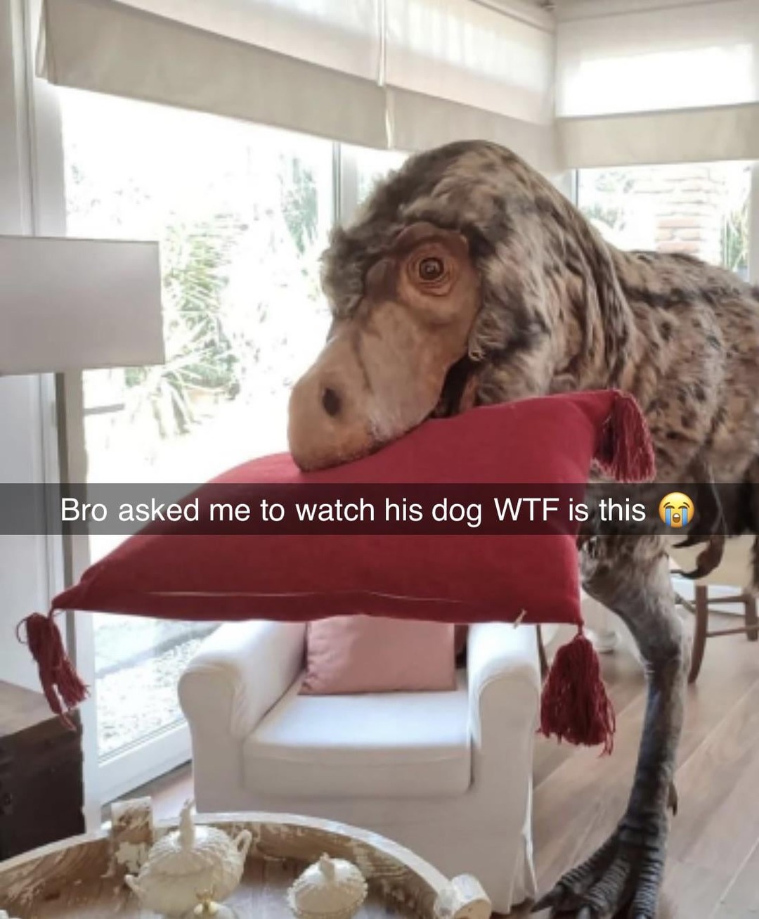 Dinodog - meme