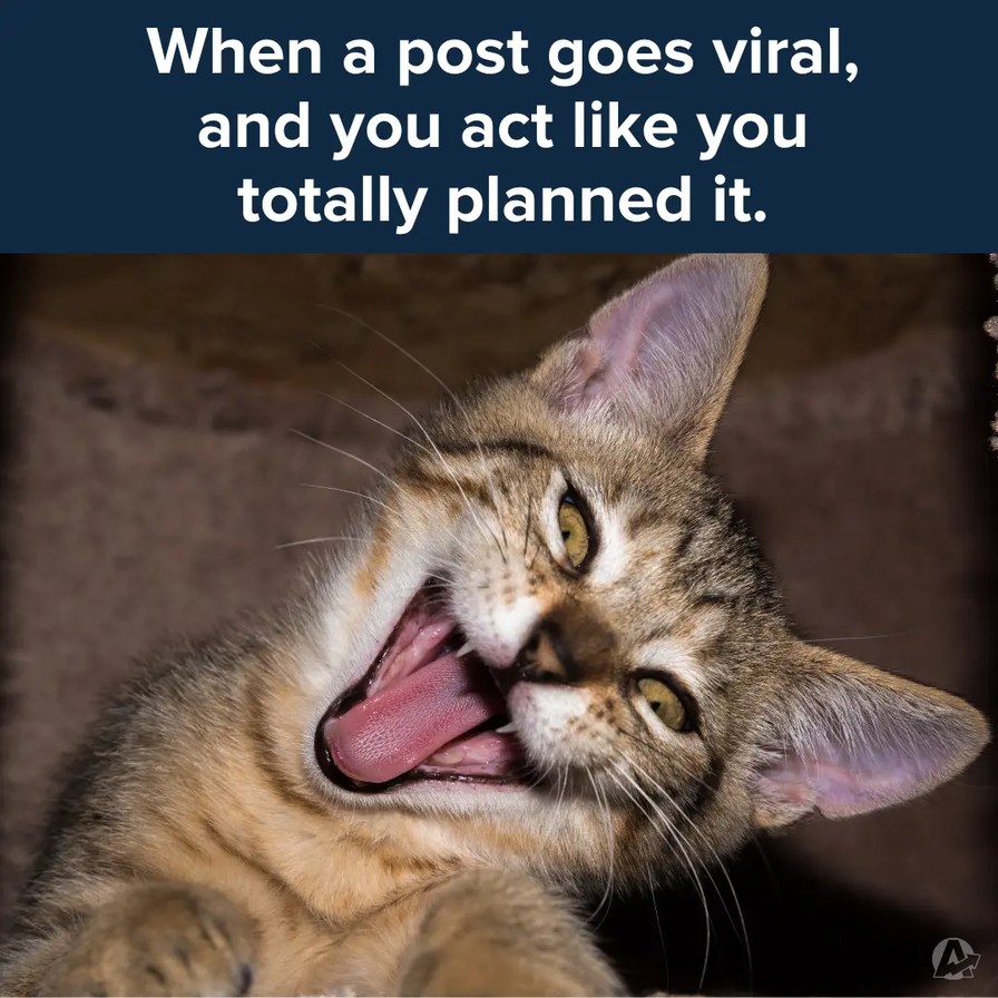 tbh I would never get popular in the first place :( - meme