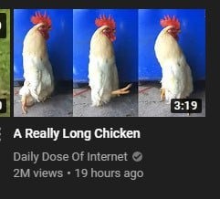 3 minutes of chicken. 2 million views. Internet undefeated - meme