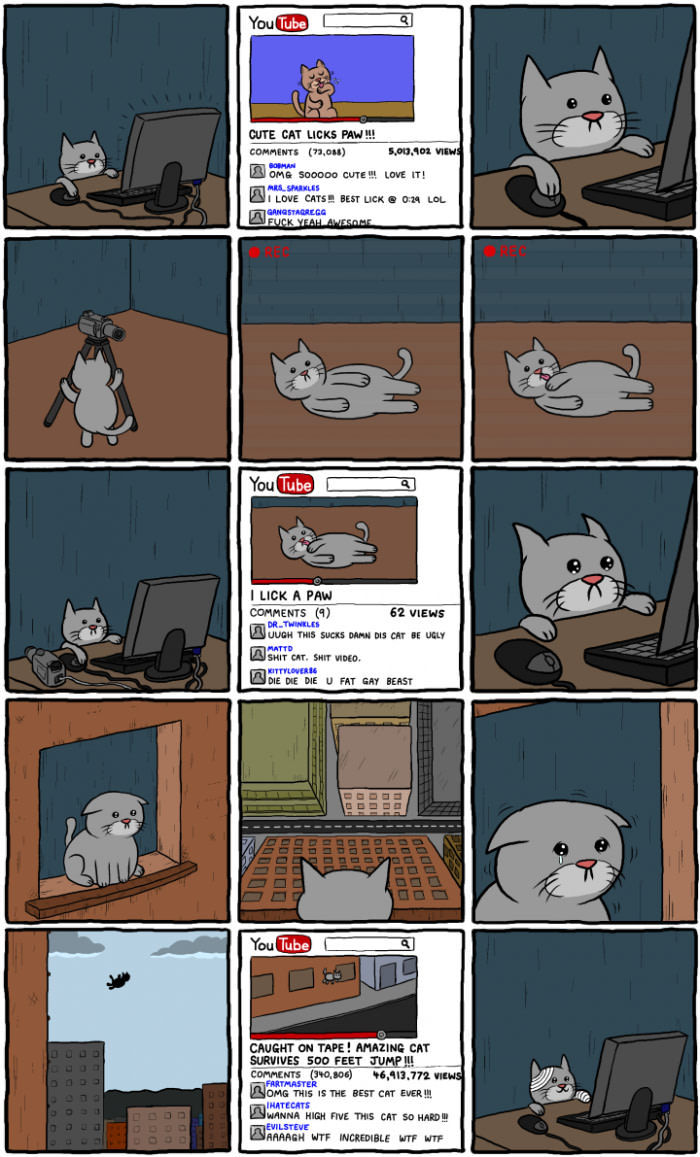 Cat learns the harsh reality - meme
