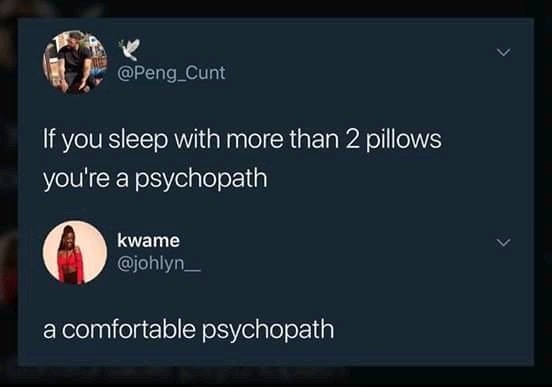 Better to be a comfortable psychopath than an uncomfortable sane person - meme