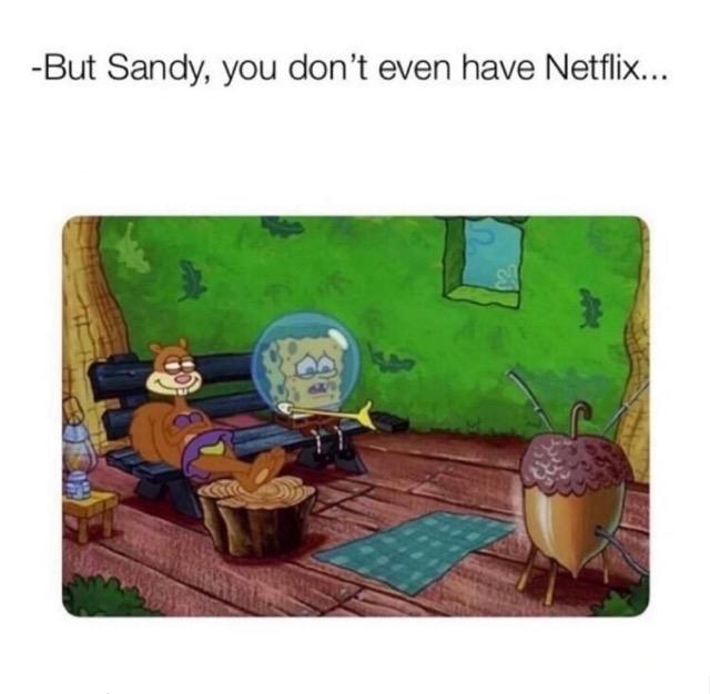 Sandy is not dummy thicc - meme