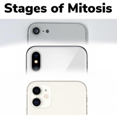 Stages of mitosis - meme