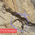 commented item thumbnail