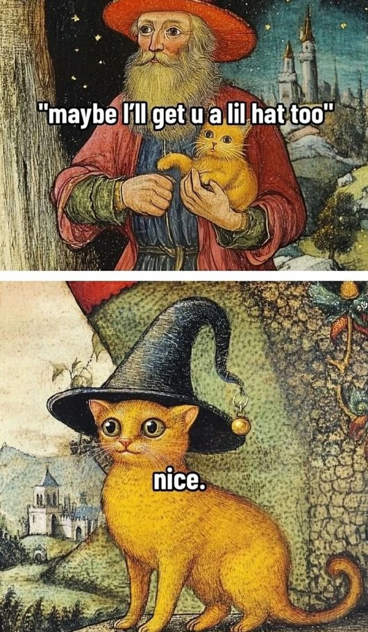 When you see a great hat and think ‘maybe I need one too’... Is this a sign? - meme