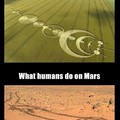 Aliens vs humans